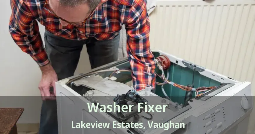 Washer Fixer Lakeview Estates, Vaughan - ON