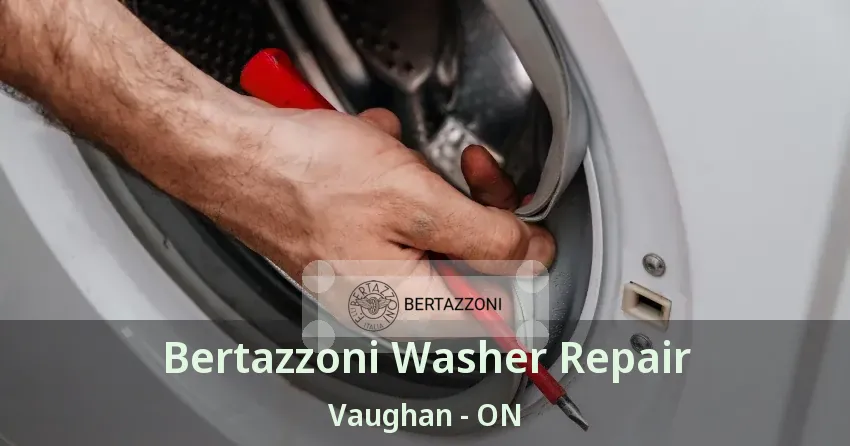 Bertazzoni Washer Repair Vaughan - ON