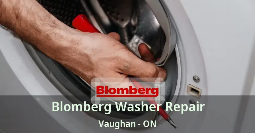 Blomberg Washer Repair Vaughan - ON