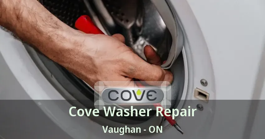 Cove Washer Repair Vaughan - ON