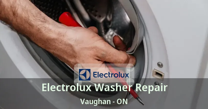 Electrolux Washer Repair Vaughan - ON