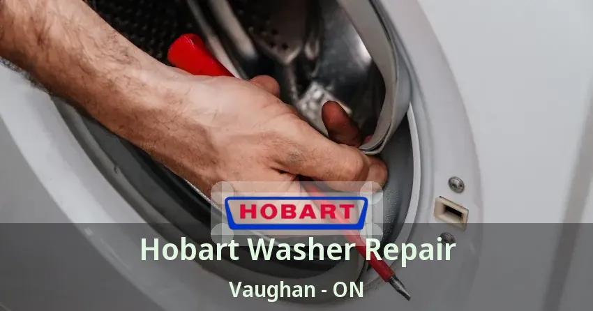 Hobart Washer Repair Vaughan - ON