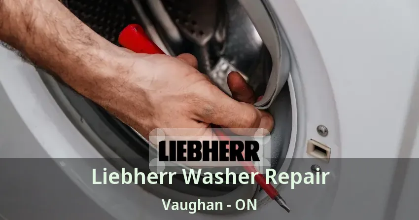 Liebherr Washer Repair Vaughan - ON