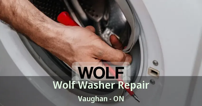 Wolf Washer Repair Vaughan - ON