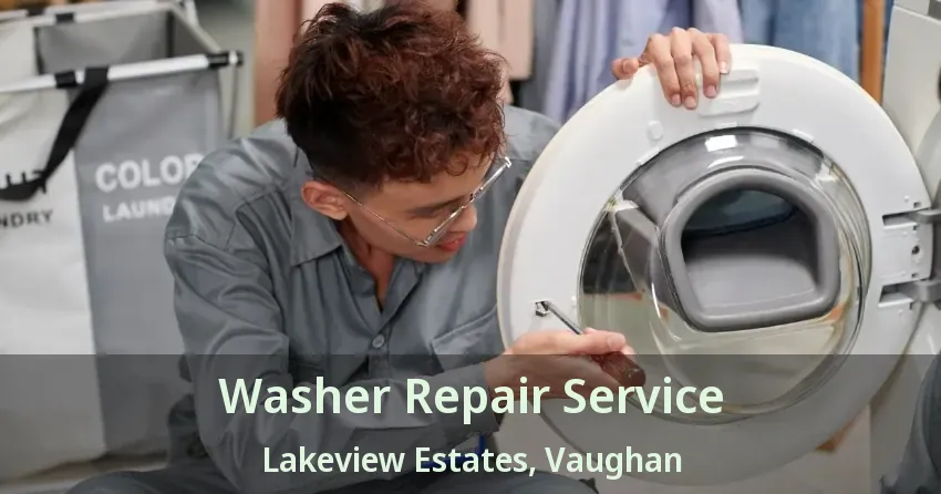 Washer Repair Service Lakeview Estates, Vaughan - ON