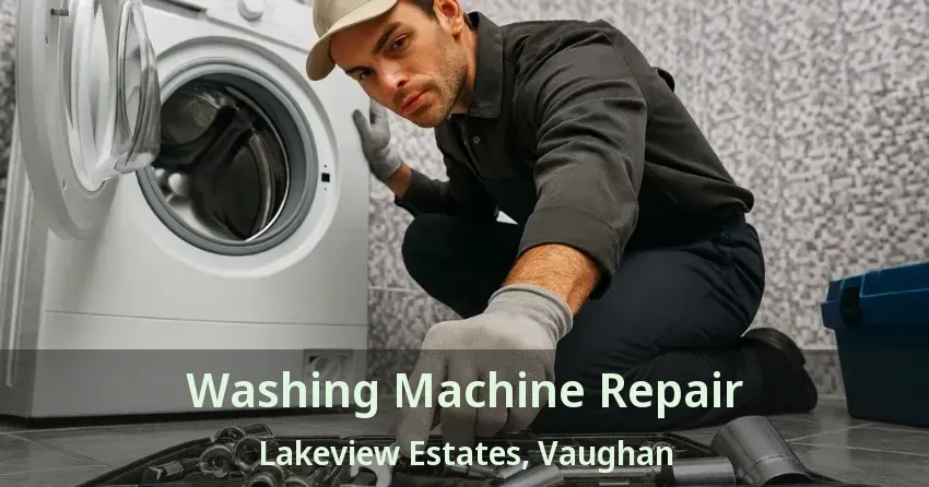 Washing Machine Repair Lakeview Estates, Vaughan - ON